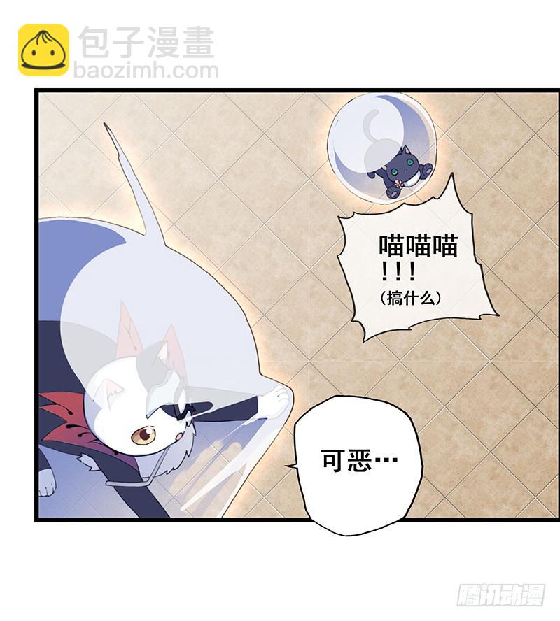 2.称为黑猫的魔法师5