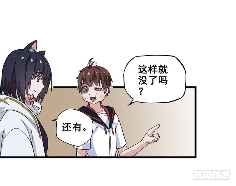 3.黑猫的继承者3
