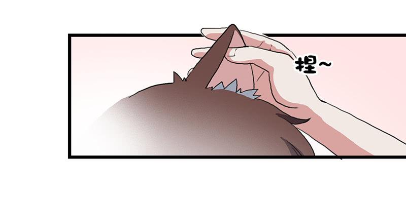 4.黑猫家的访客28