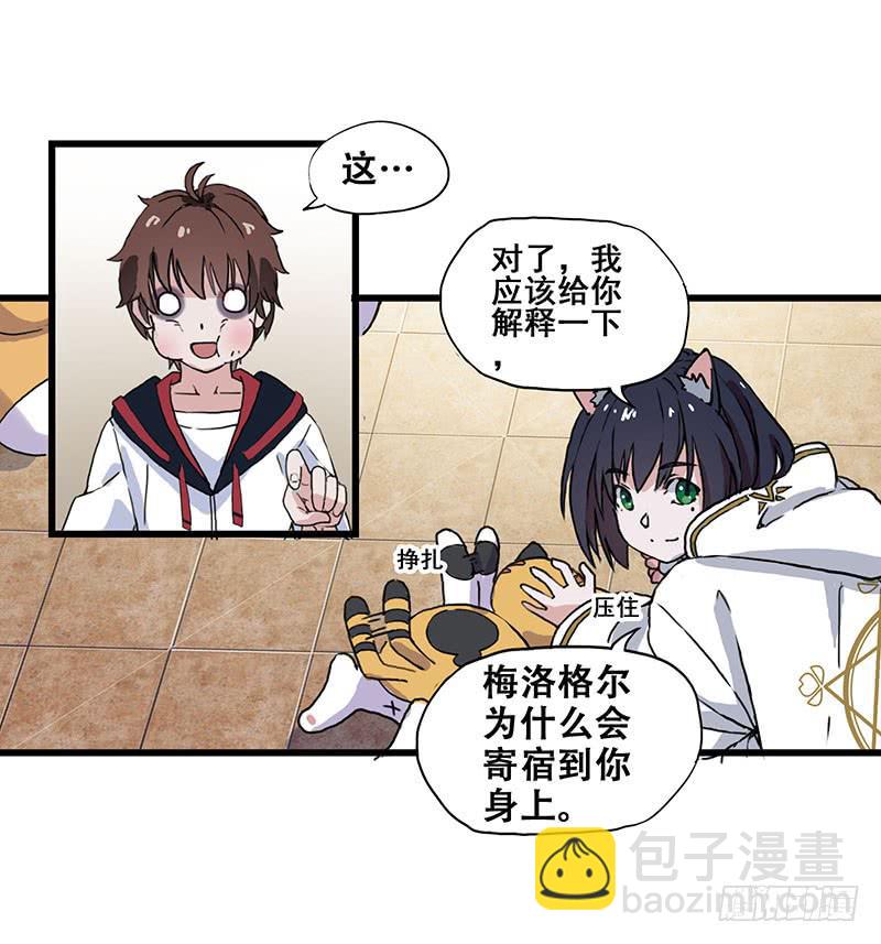3.黑猫的继承者8