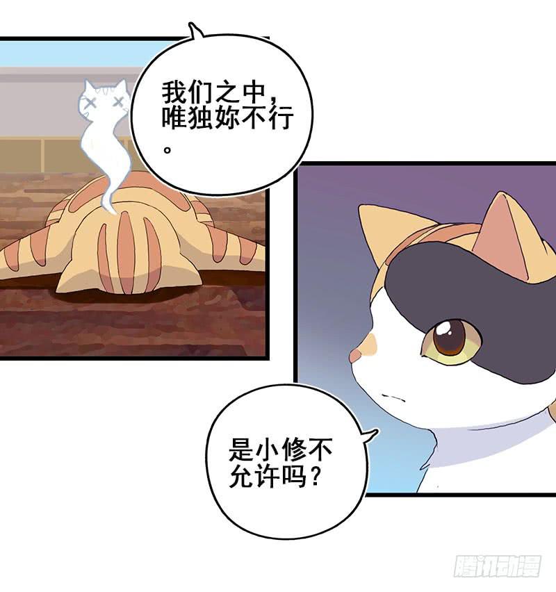 13.猫老大42