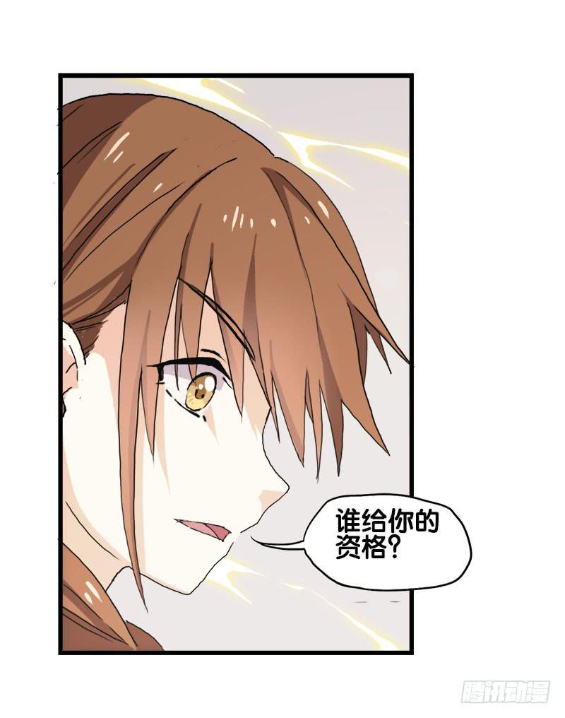 22.秩序者28