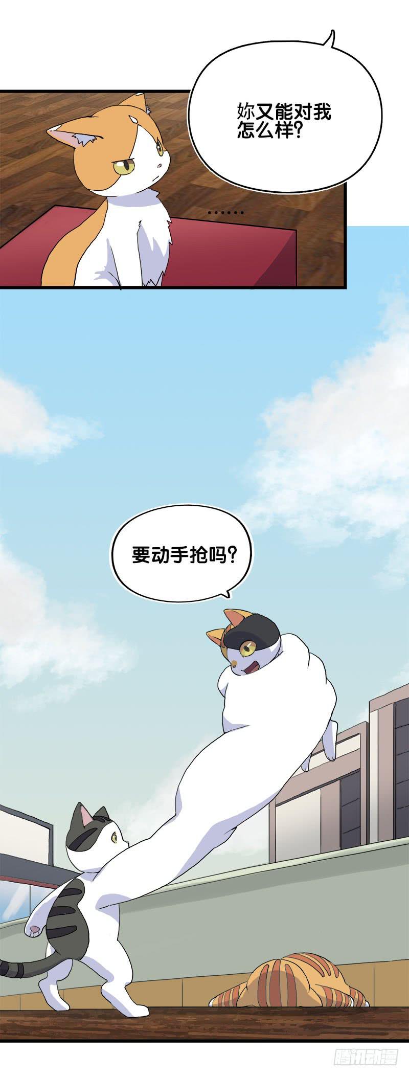 14.我非常讨厌魔法师7