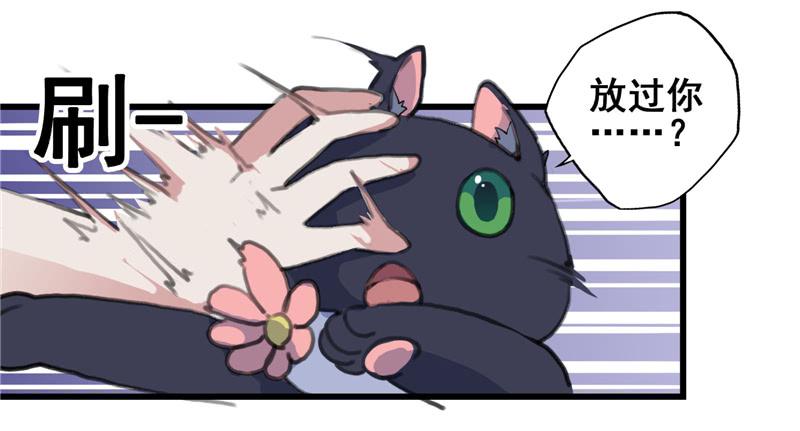 1.大魔法师58