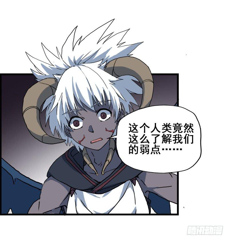 11.货真价实的黑猫11