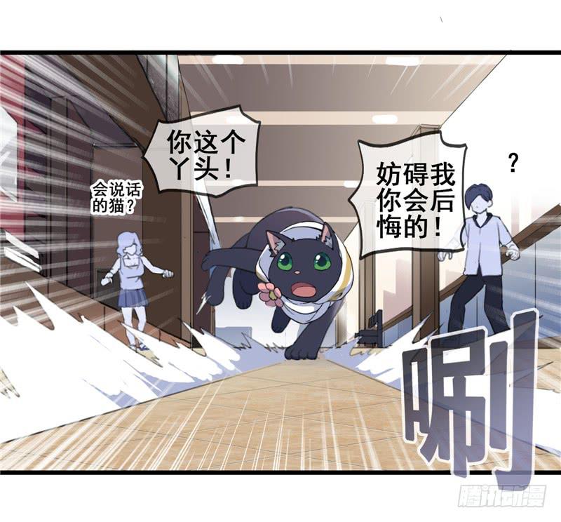 1.大魔法师61