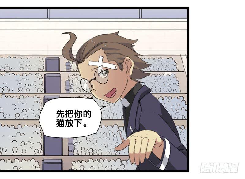 25.看！我有猫。34