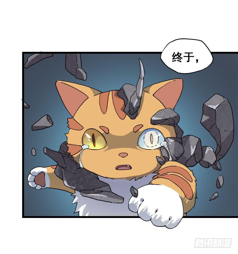 7.报仇34