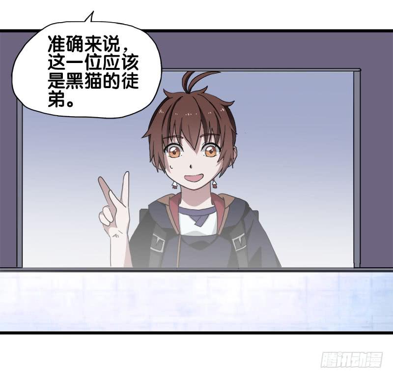 25.看！我有猫。19