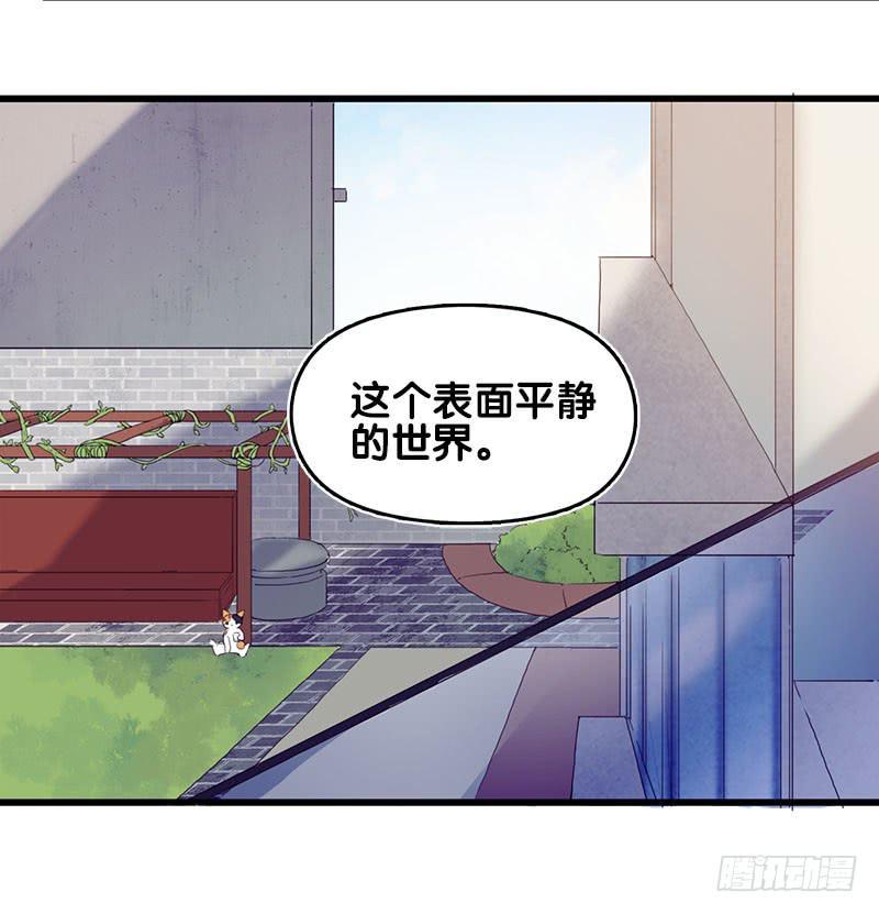 13.猫老大11