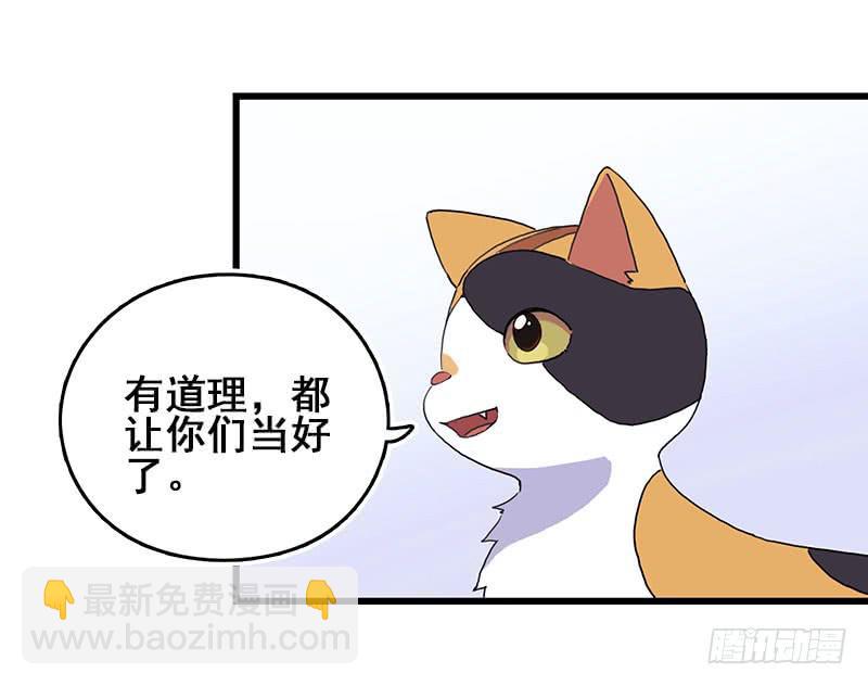 13.猫老大45