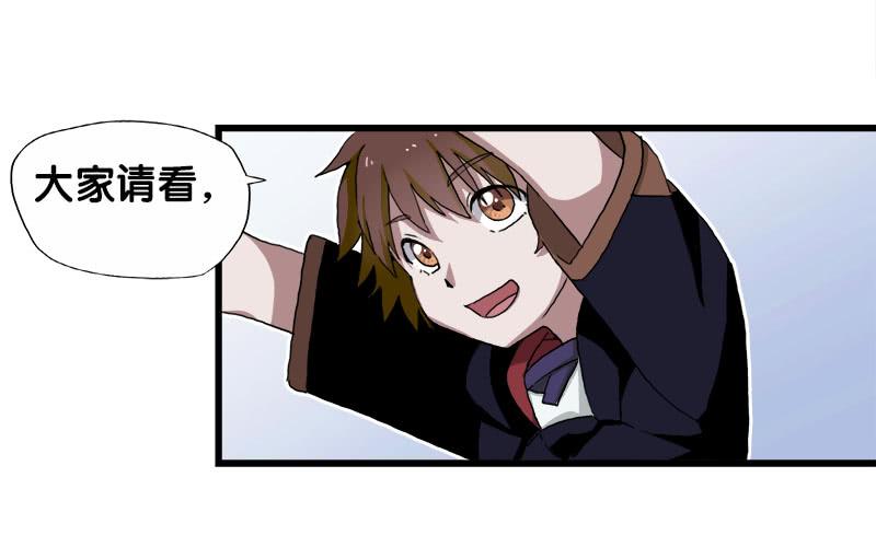 25.看！我有猫。27