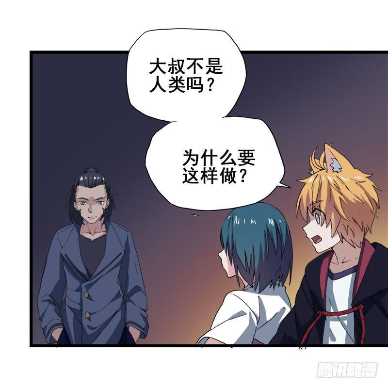 12.魔法师王的力量14