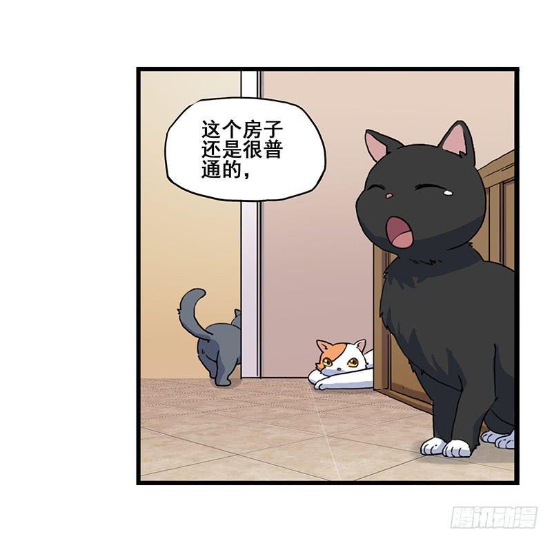 4.黑猫家的访客16