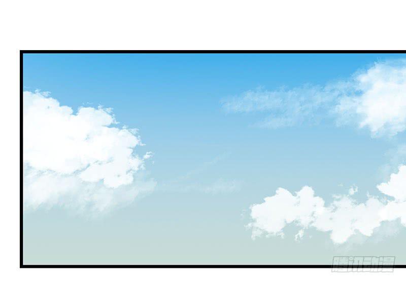 13.猫老大10