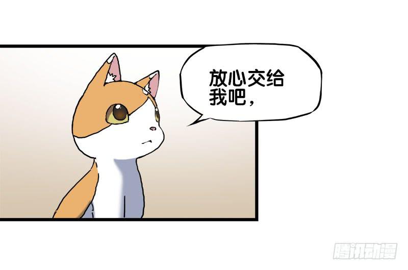 18.四元素大会出发！27