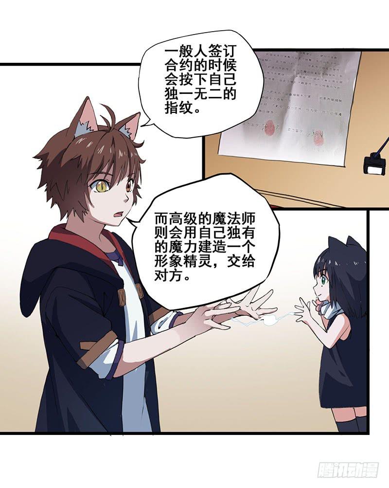 5.黑猫的合约17
