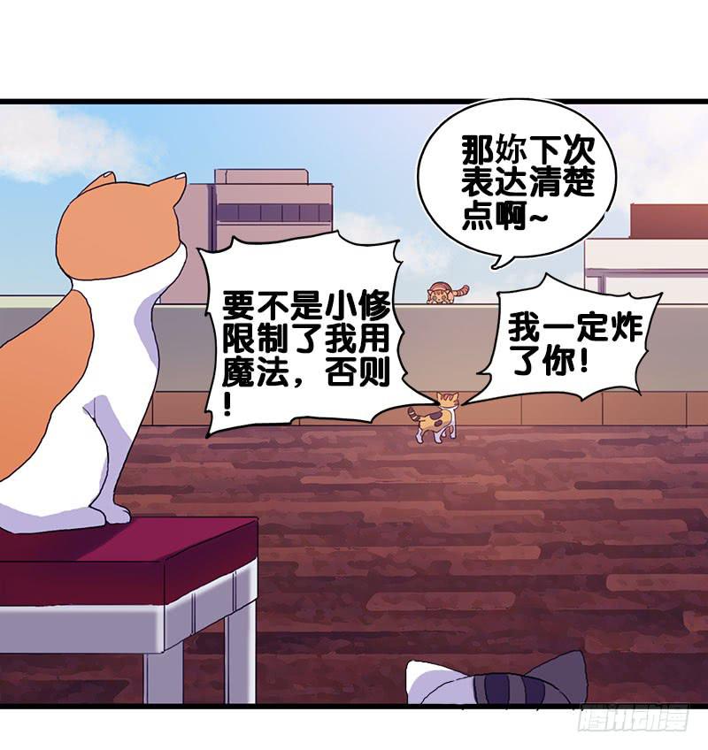 13.猫老大32