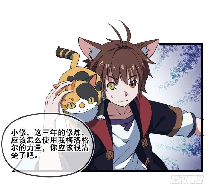 5.黑猫的合约6