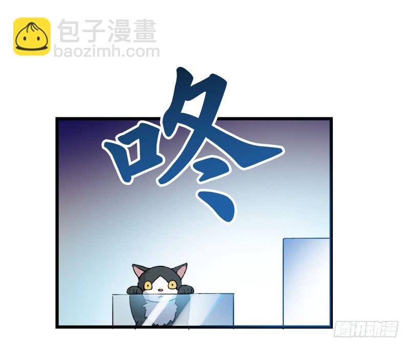 5.黑猫的合约10