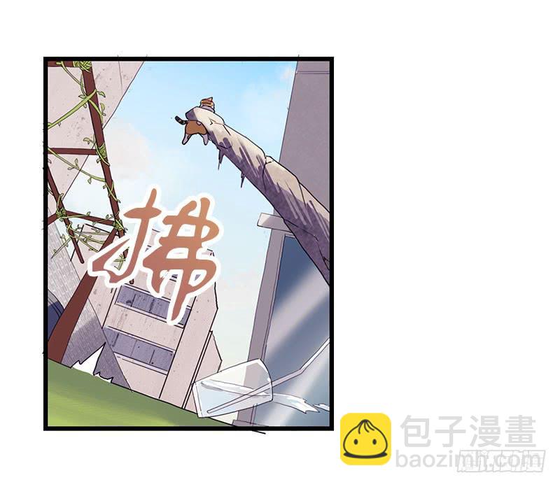 13.猫老大20