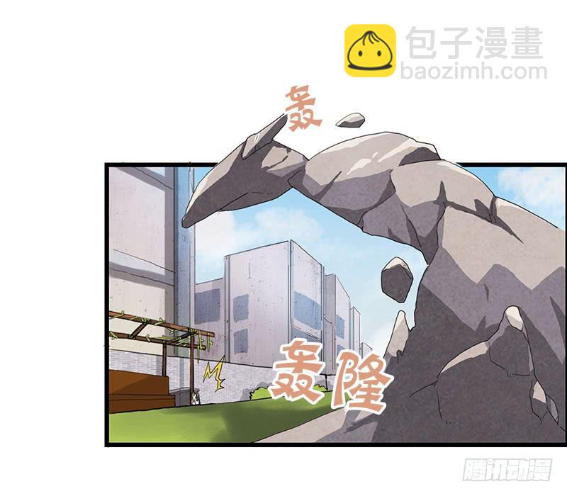 13.猫老大17