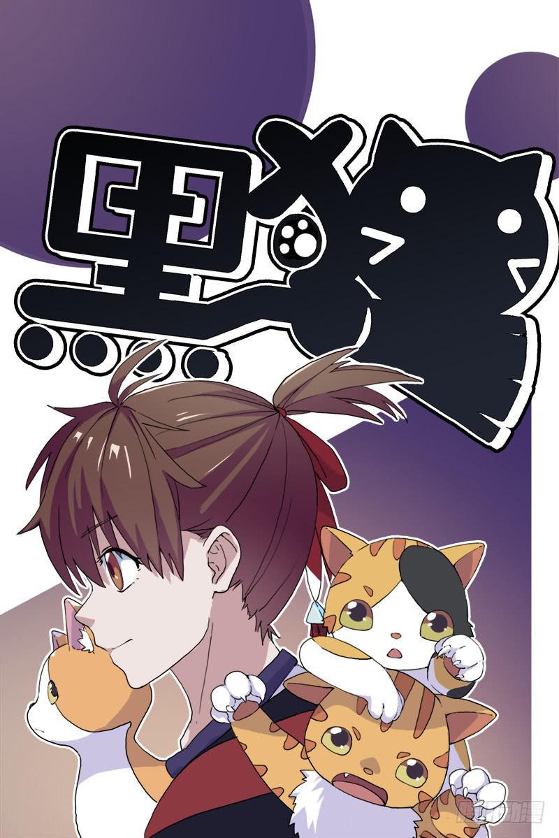 13.猫老大0