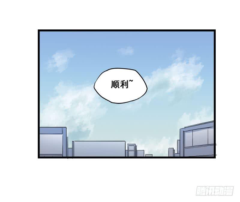 5.黑猫的合约44