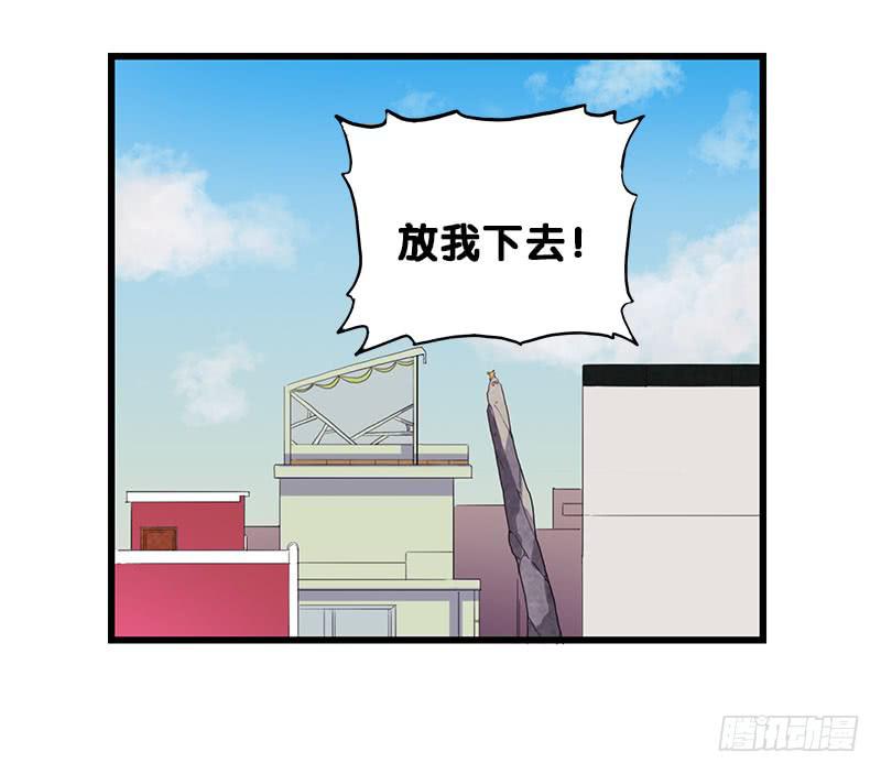 13.猫老大28