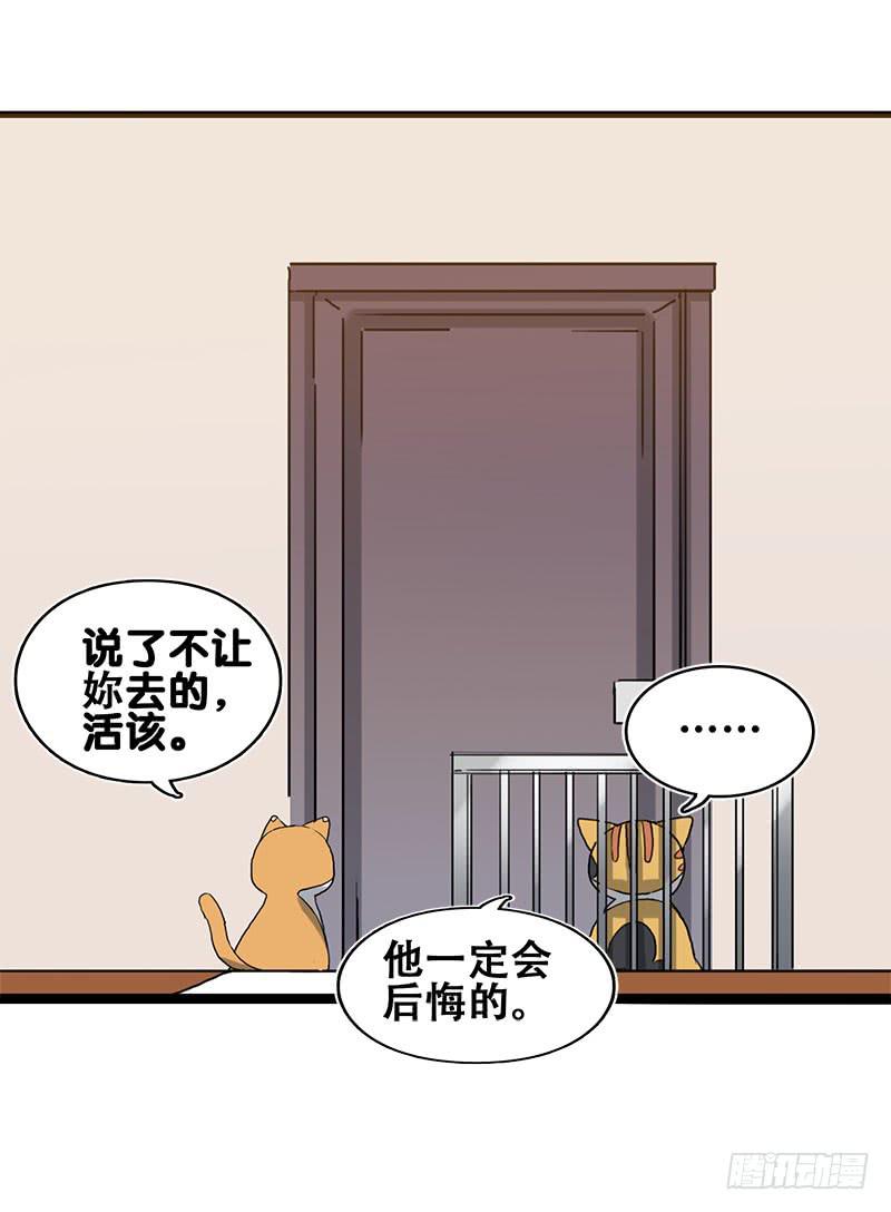 18.四元素大会出发！29