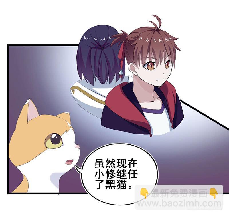 13.猫老大41