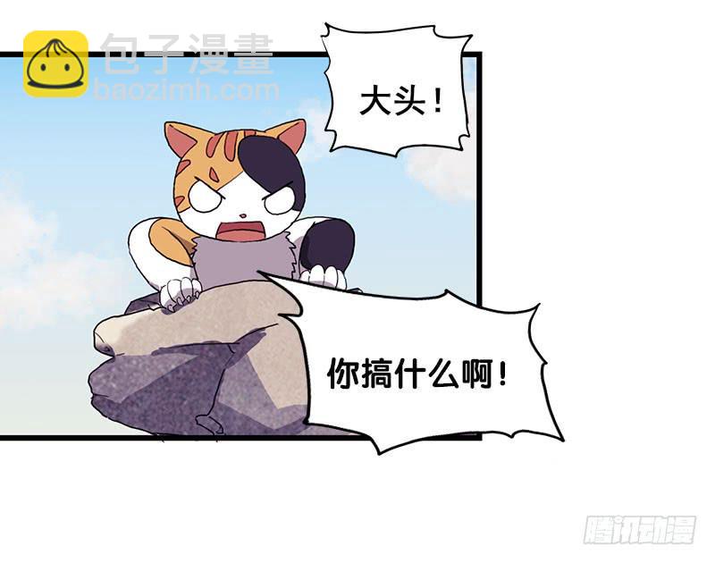 13.猫老大21