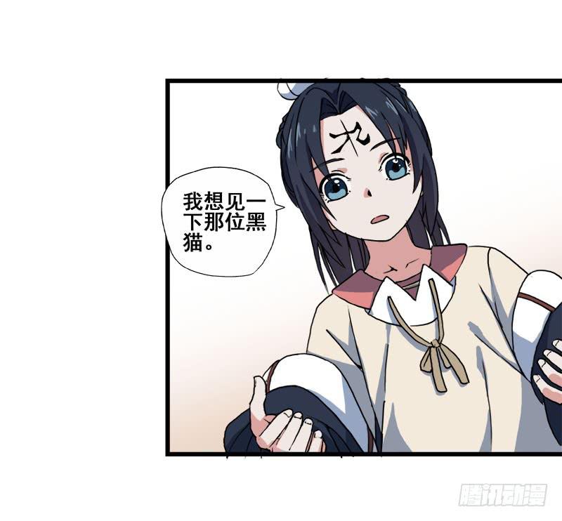 5.黑猫的合约35