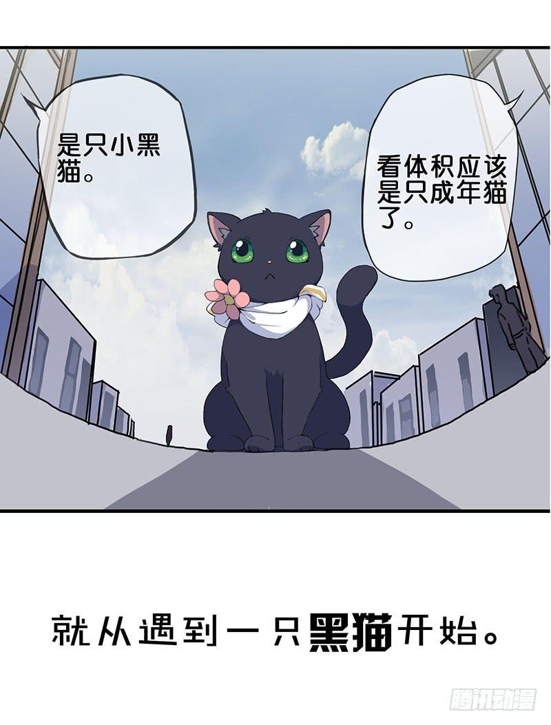 预告5