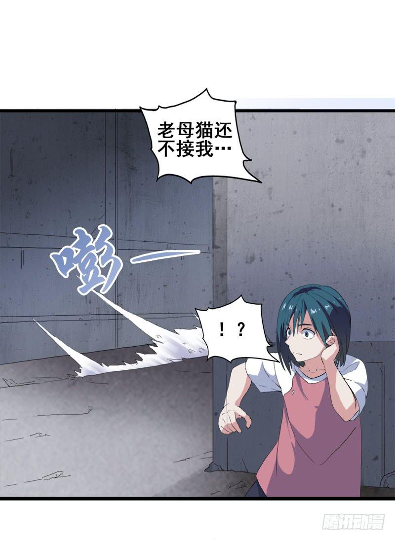 8.魔法师与猫的魔法14