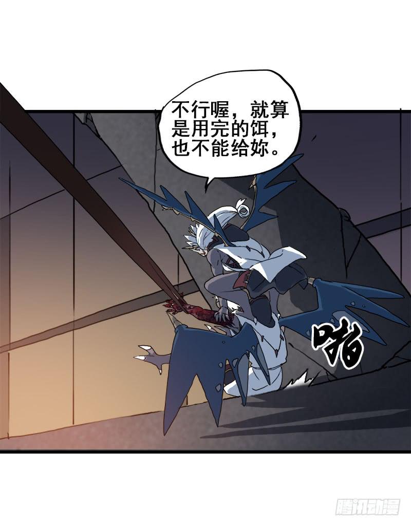 11.货真价实的黑猫34
