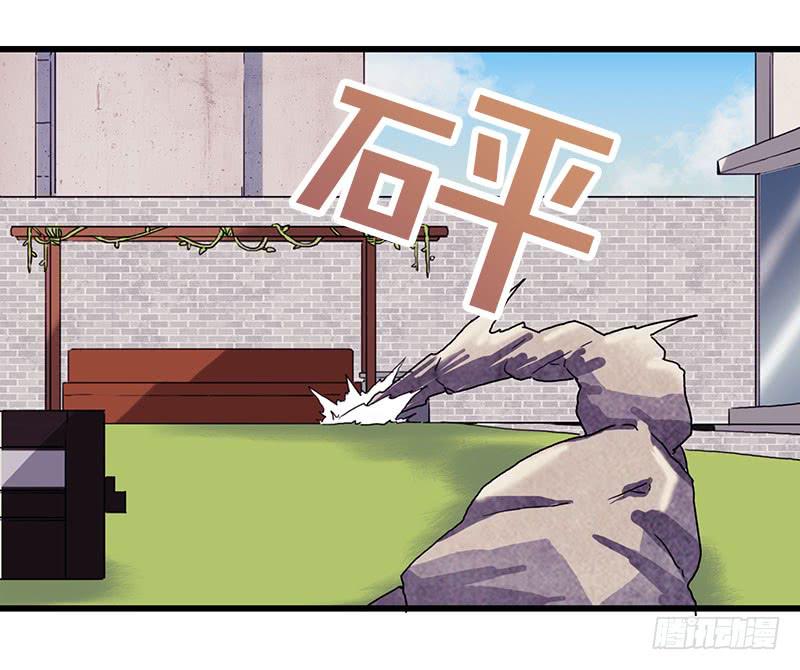 13.猫老大19