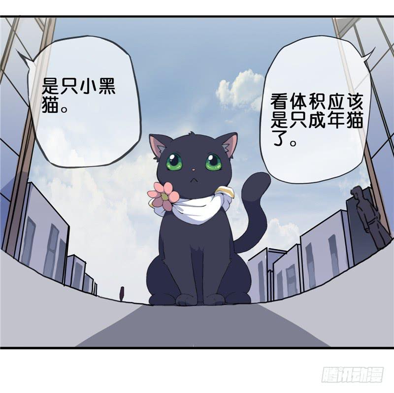 1.大魔法师6