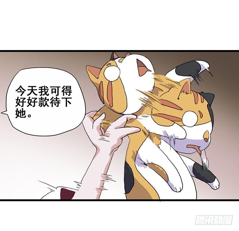 3.黑猫的继承者16