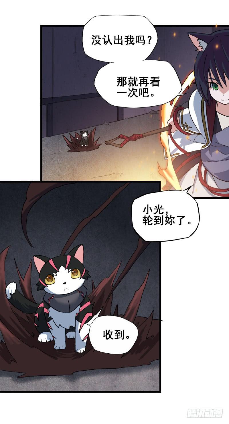 11.货真价实的黑猫25