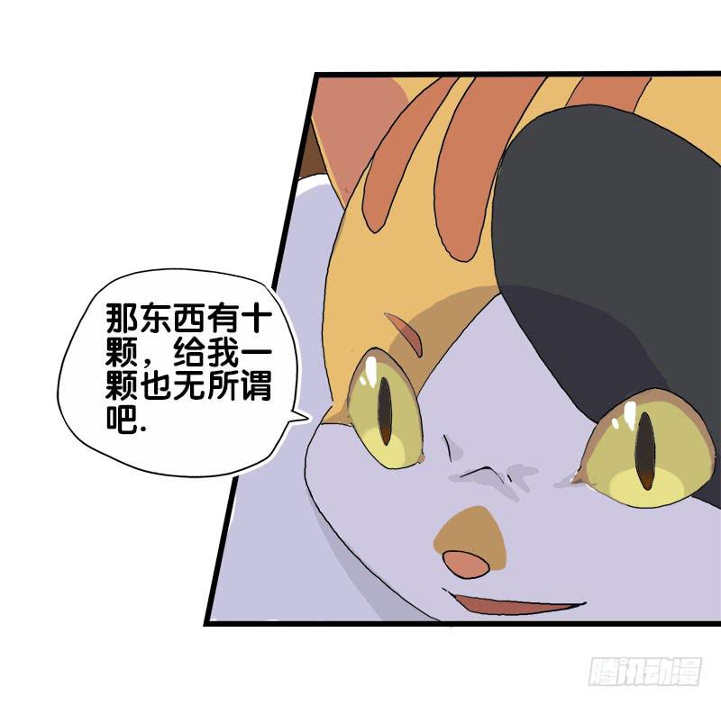 14.我非常讨厌魔法师4