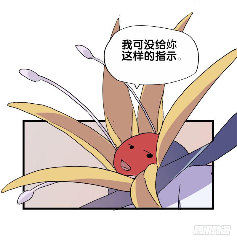 22.秩序者18