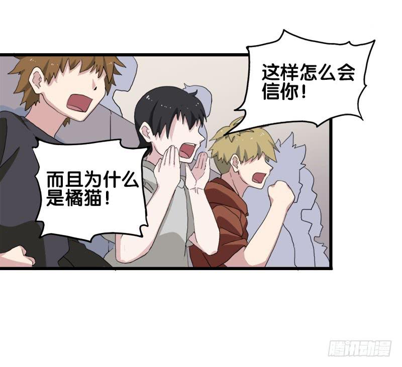 25.看！我有猫。30