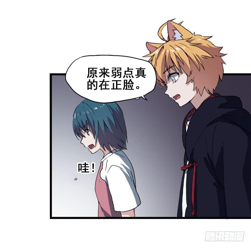 11.货真价实的黑猫9
