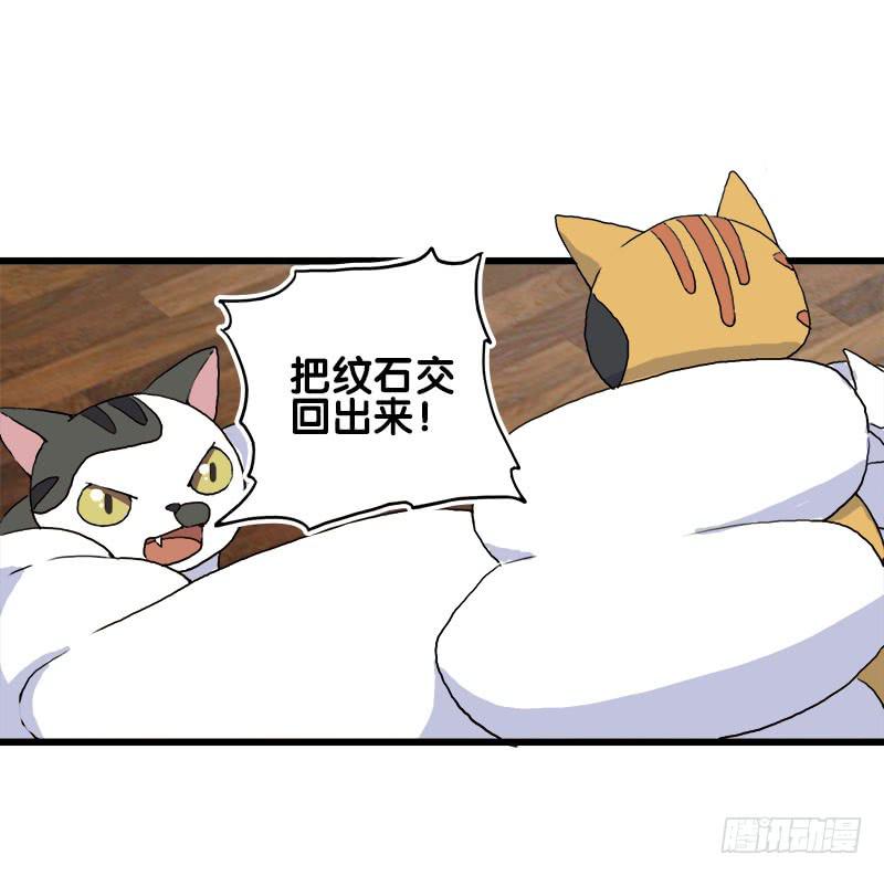 14.我非常讨厌魔法师3