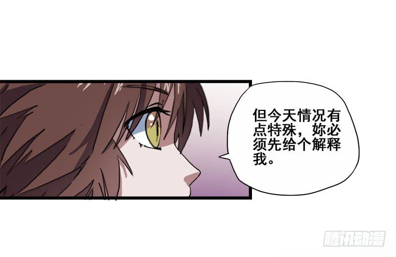 5.黑猫的合约4