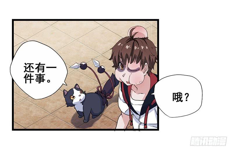 3.黑猫的继承者20