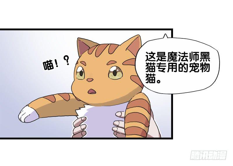 25.看！我有猫。28