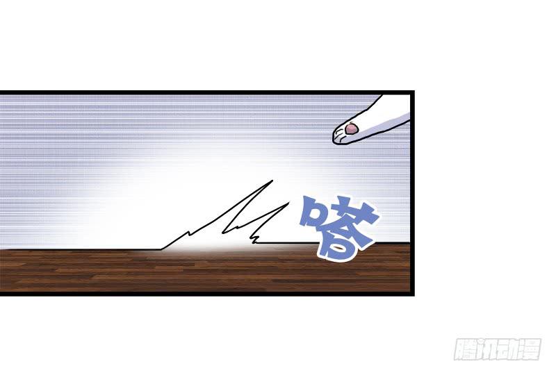 13.猫老大50