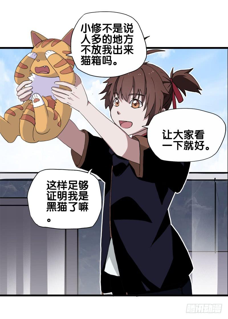 25.看！我有猫。29
